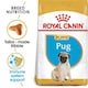 image 1 of Royal Canin Pug Puppy Dry Dog Food - 1.5 kg | Multi | 1.5kg | Turkey, Rice | 1