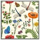 image 3 of Flowers & insects (Picture Frame) Brown | XL