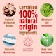 image 3 of Spiced Gingerbread Natural Deodorant Spray 100ML