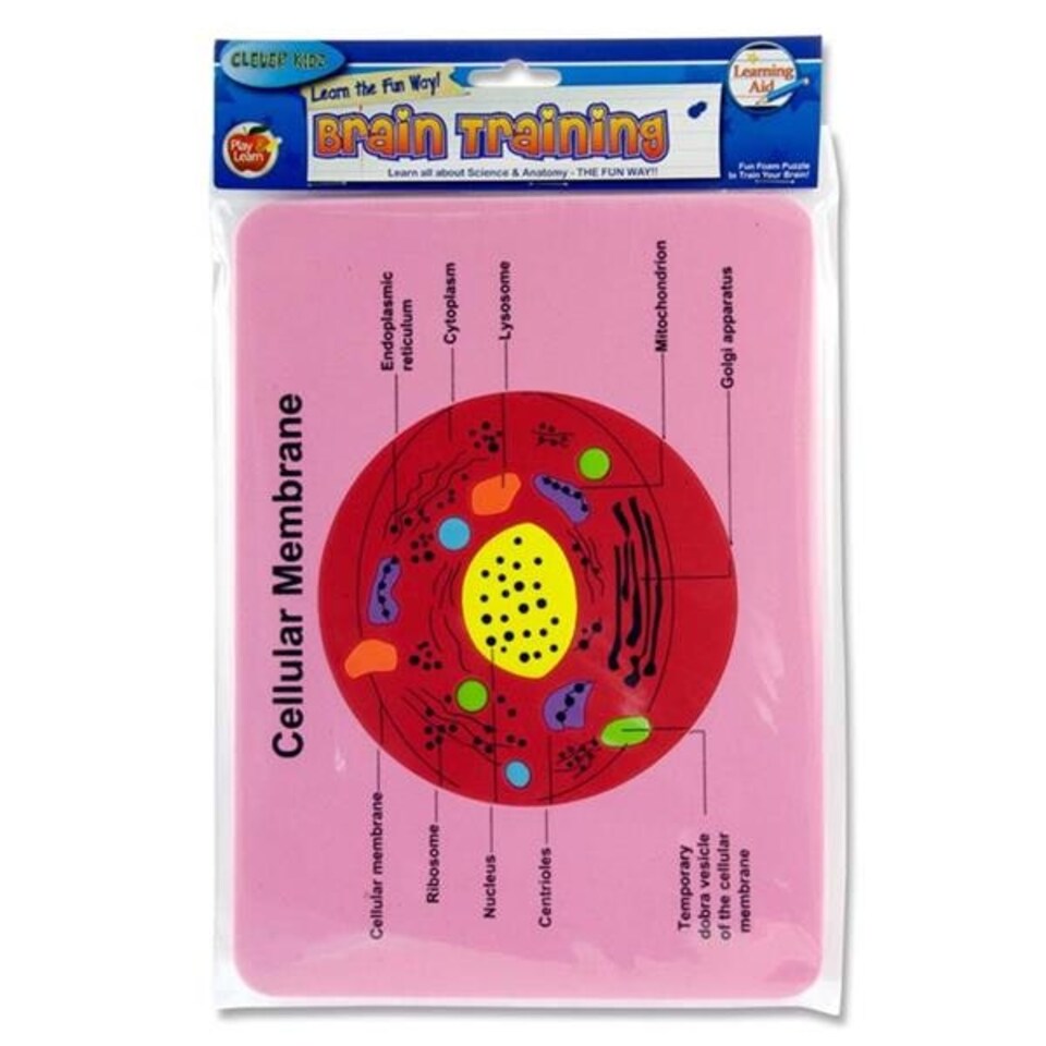 image 1 of Brain Training Foam Puzzle of Cellular Membrane by Clever Kidz