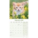 image 3 of Kittens 2026 Calendar | Square Wall Calendar | Cat Gift | Plastic Free Packaging | by Avonside Publishing