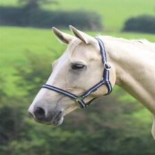 Shires Wessex Headcollar Blue | Size: Pony
Colour: Navy/Silver