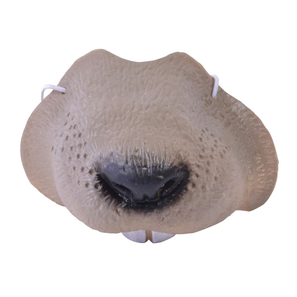 Bristol Novelty Childrens/Kids Mouse Nose Mask - Beige - One Size