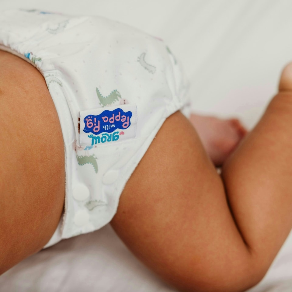 image 1 of Peppa Pig One Size All-In-One Reusable Cloth Nappy - George & Mr.Dinosaur | White