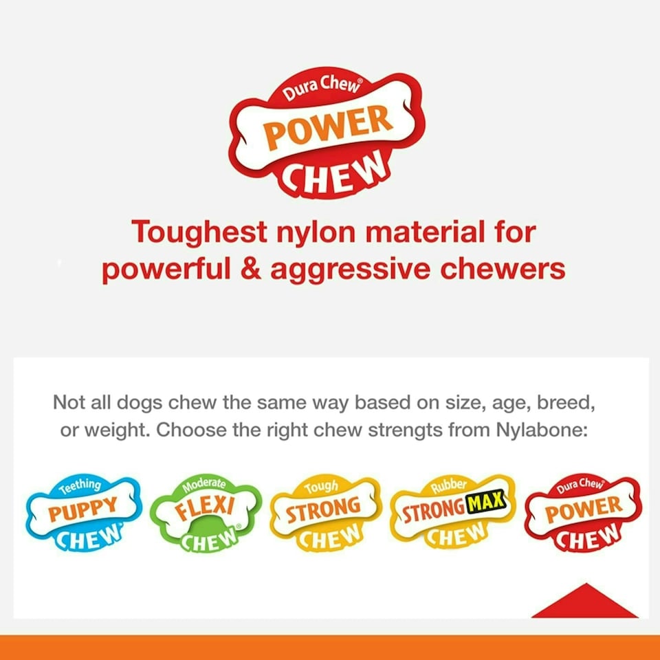 image 1 of Nylabone Extreme Tough Dog Chew Toy Bone, Durable, Cleans Teeth, Flavour Medley, Medium, for Dogs Up to 16 kg