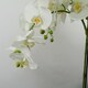image 4 of 150cm Giant White Orchid Plant - Artificial - 189 flowers REAL TOUCH