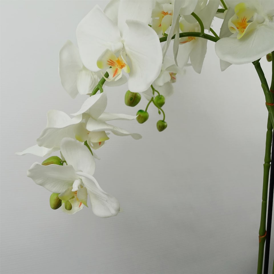 image 1 of 150cm Giant White Orchid Plant - Artificial - 189 flowers REAL TOUCH