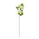 image 1 of Hill Interiors Snowball Viburnum Artificial Flower Spray - Green - One Size