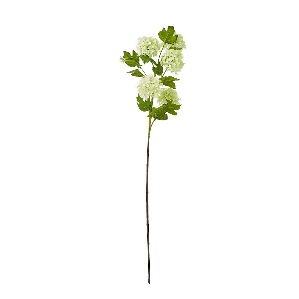 image 1 of Hill Interiors Snowball Viburnum Artificial Flower Spray - Green - One Size