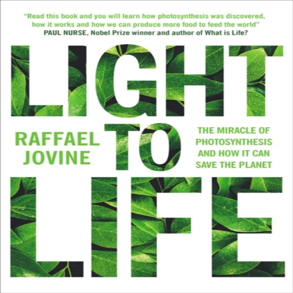 Light To Life