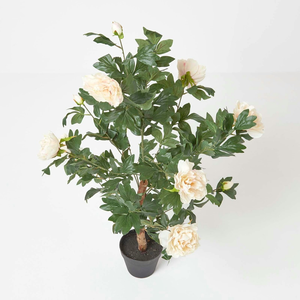 image 1 of Homescapes Peach Artificial Peony Tree in Black Pot, 100 cm Tall
