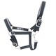 image 3 of Woof Wear Contour Head Collar Blue | Size: Cob
Colour: Shiraz/Navy