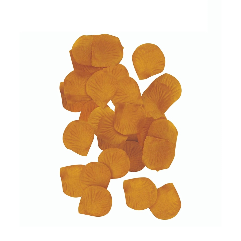 image 1 of Henbrandt Petal Wedding Confetti - Gold - One Size