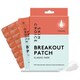 image 1 of Skin Choice Breakout Fade Dark Spot Patch, Microdart Acne Pimple Patches Niacinamide - 8pk