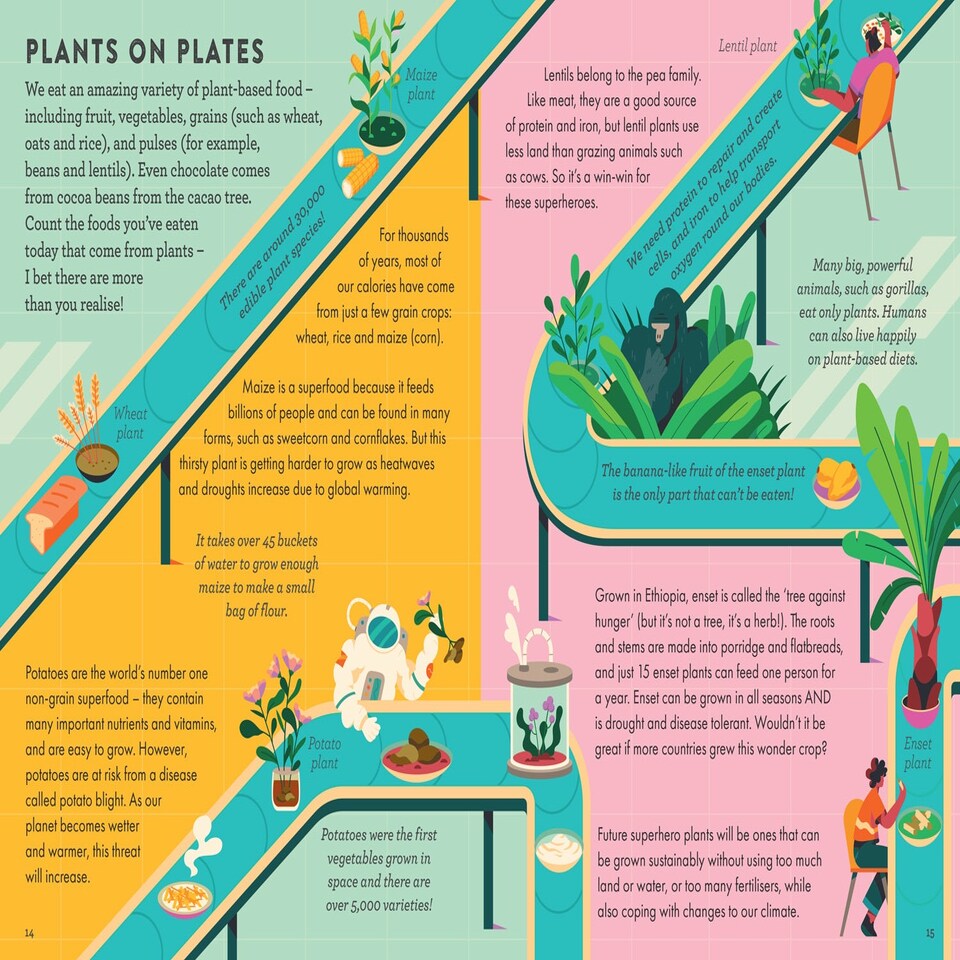 image 1 of Superhero Plants