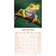 image 3 of Frogs 2026 Calendar | Square Wall Calendar | Reptile Gift | Plastic Free Packaging | by Avonside Publishing