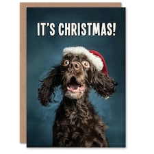 Christmas Card Cocker Spaniel Photograph Dog in Santa Hat Funny