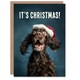 image 1 of Christmas Card Cocker Spaniel Photograph Dog in Santa Hat Funny