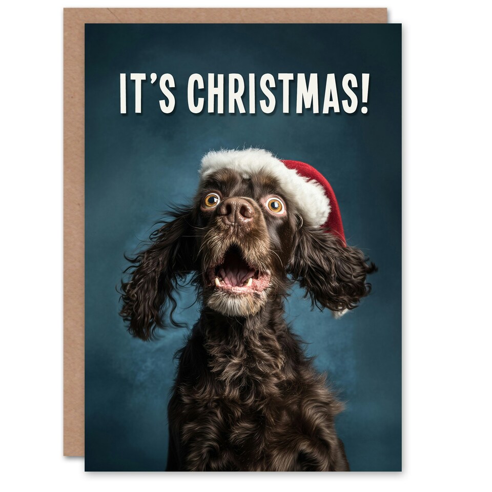 image 1 of Christmas Card Cocker Spaniel Photograph Dog in Santa Hat Funny