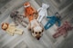 image 4 of My Dog Luxury Plush Dog Toys Bear