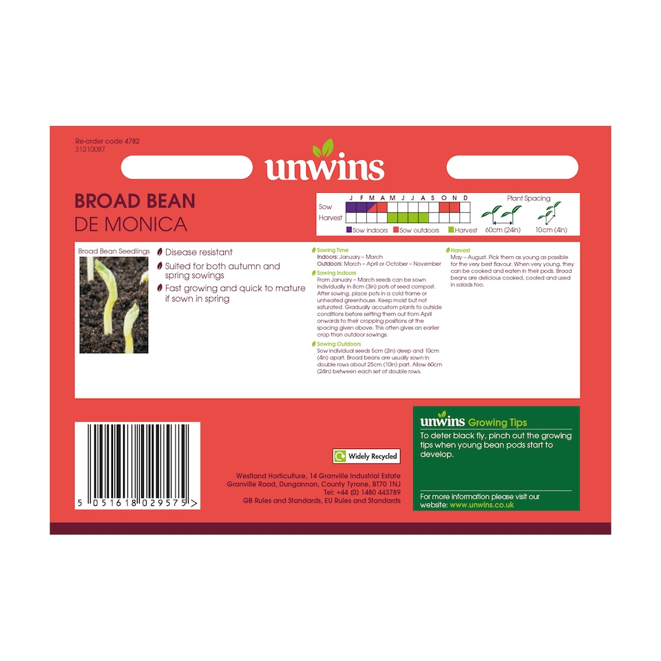 image 1 of Broad Bean De Monica