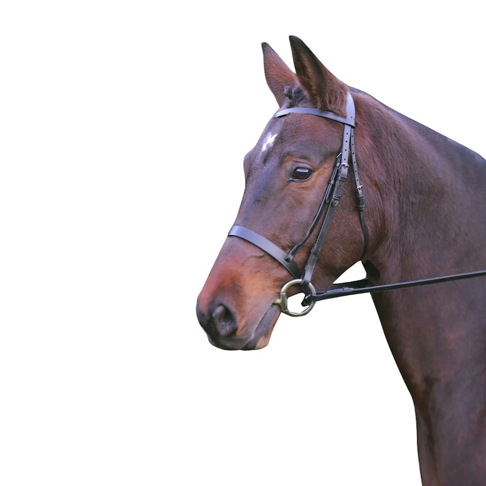 image 1 of Hy Hunter Leather Bridle with Rubber Grip Reins - Brown - Cob