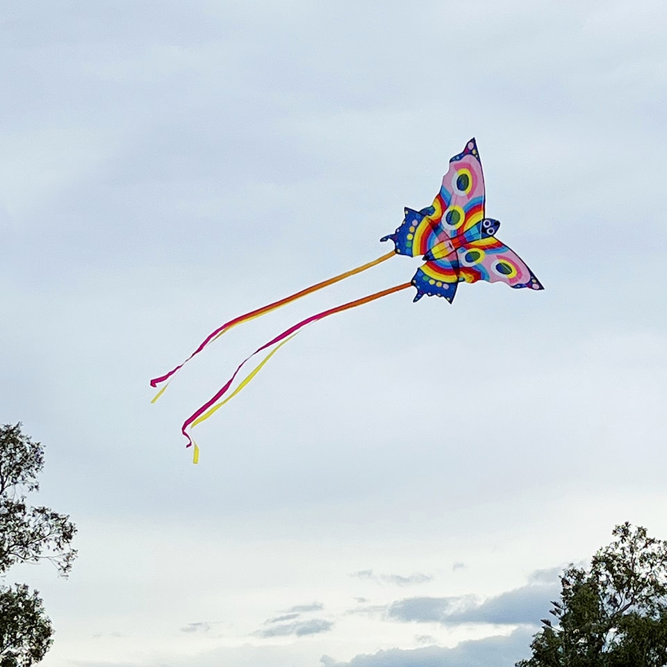 image 1 of Butterfly Kite