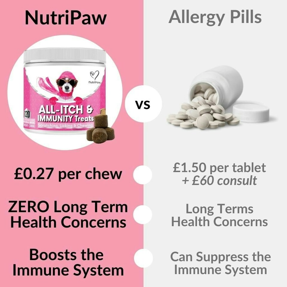 image 1 of All-Itch & Immunity Treats