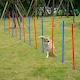 image 7 of PawHut Pet Agility Set Training Dogs Outdoor Outward Play Adjustable Pole
