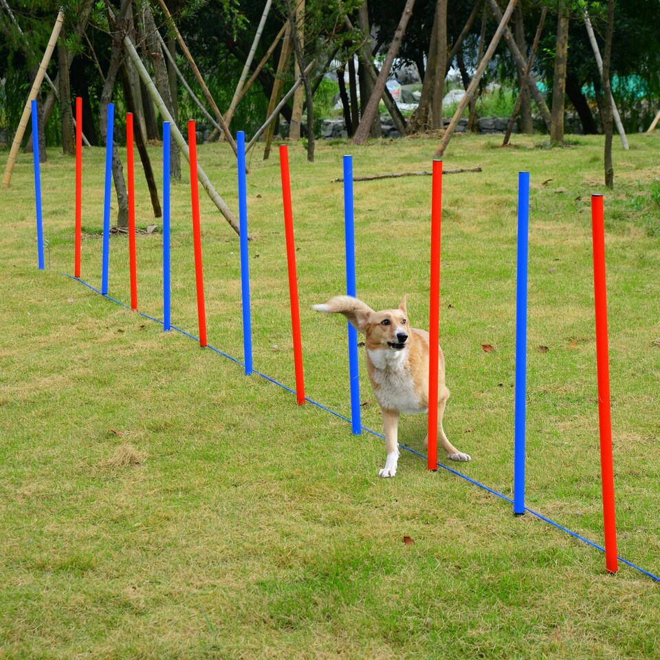 image 1 of PawHut Pet Agility Set Training Dogs Outdoor Outward Play Adjustable Pole