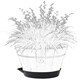 image 2 of Self Watering Barrel Saucer Grey