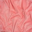 Coral Pink