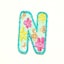 Multicoloured Letter N