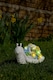 image 2 of Pack of 1 Solar Snail Garden Ornament | Grey | One Size