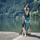 image 3 of Dog Padded Harness Turquoise Blue | XS
