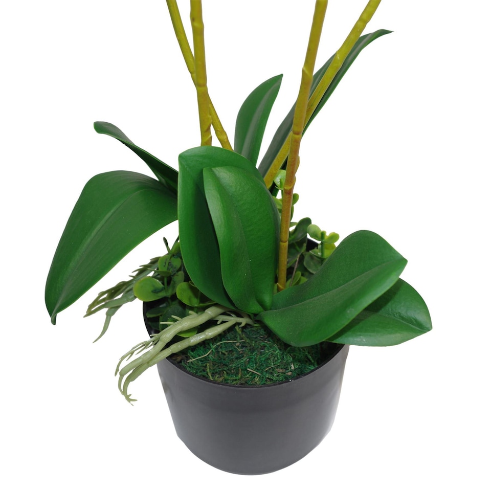 image 1 of 60cm Leaf Design UK Realistic Artificial Orchid Flower Display in Pot