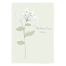 Single Lily Stem Thinking Of You Sympathy Card