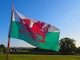 image 4 of 8 X 5ft Welsh National Flags Events Decorationsor | Multi