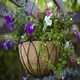 image 8 of Tom Chambers Black Lattice Metal Garden Patio Flower Wall Hanging Basket with WaterSave Coco Fibre Liner 35cm - Without Bracket | Black | Black