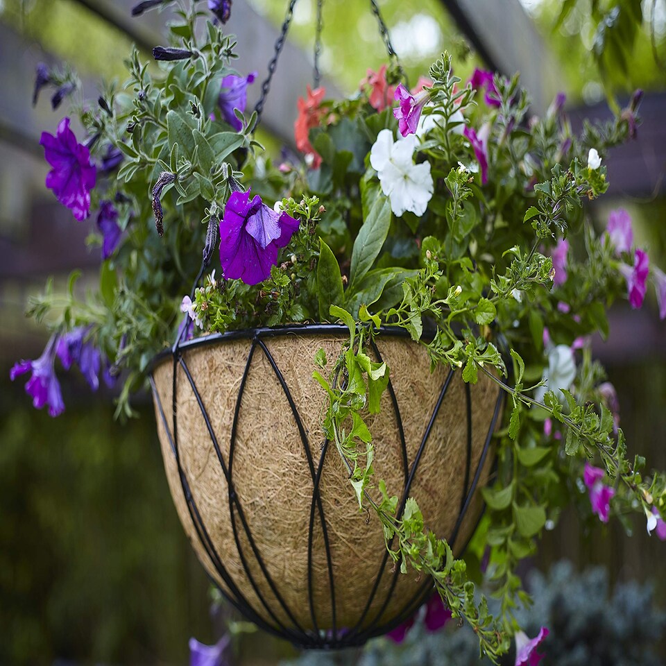 image 1 of Tom Chambers Black Lattice Metal Garden Patio Flower Wall Hanging Basket with WaterSave Coco Fibre Liner 35cm - Without Bracket | Black | Black