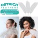 image 4 of 50cm - 60cm Large Ostrich Feathers, Showgirl Spadones - 10pcs