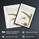 image 2 of White Lily Snail and Sweet Flag Calligraphy Framed Wall Art Print 12X16"
