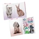 image 2 of Depesche Topmodel Cute Animals Dress Me Up