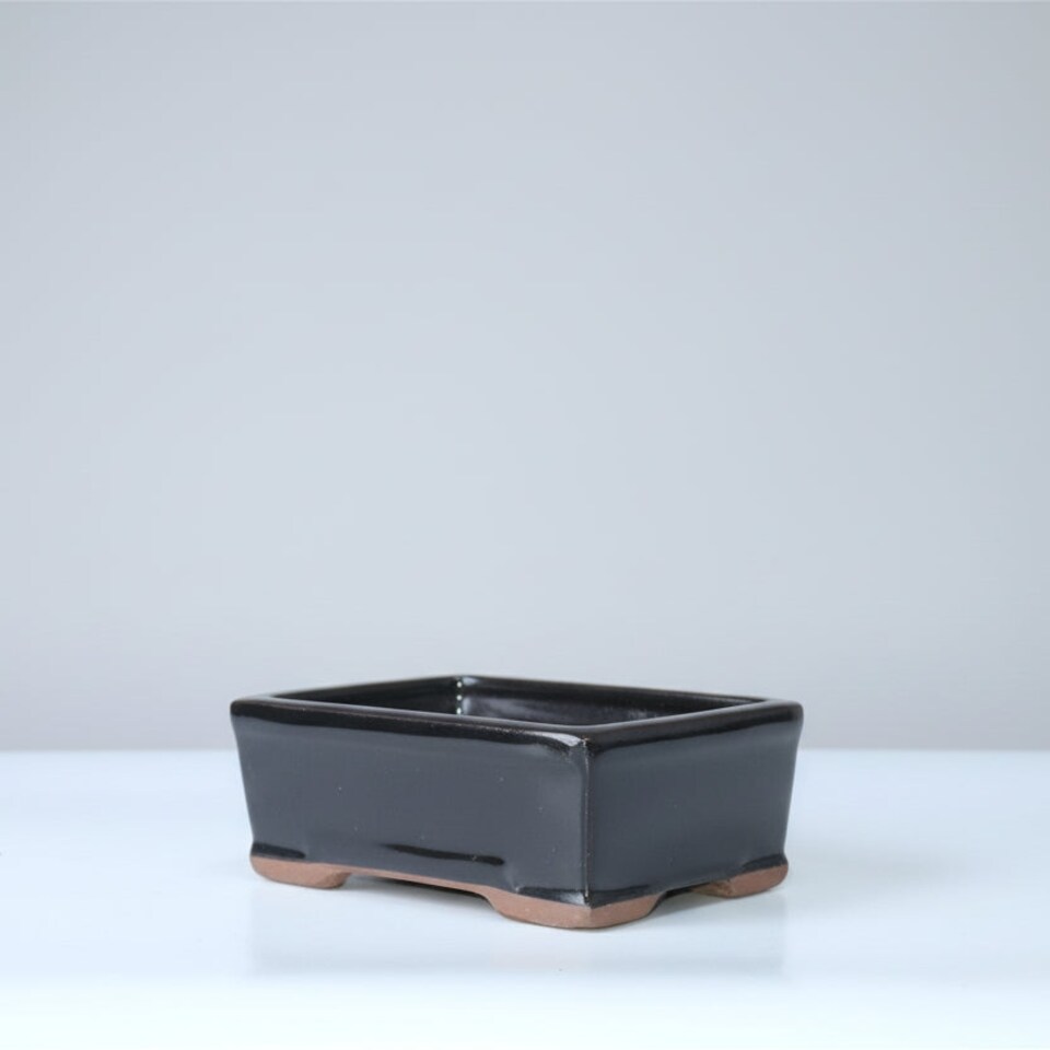 Yorkshire Bonsai 16cm Glazed Bonsai Pot Rectangle 16cm x 13cm x 6cm Black