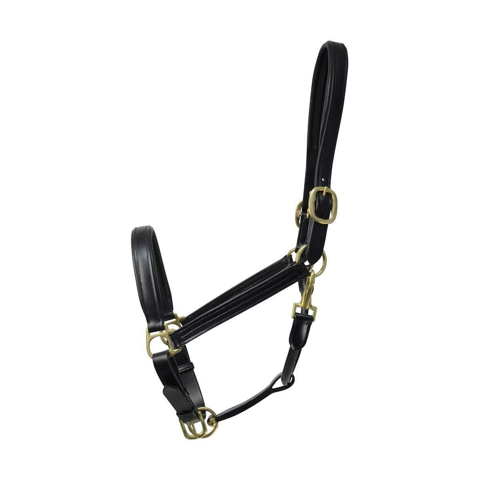 Coldstream Leather Padded Head Collar - Black - Cob