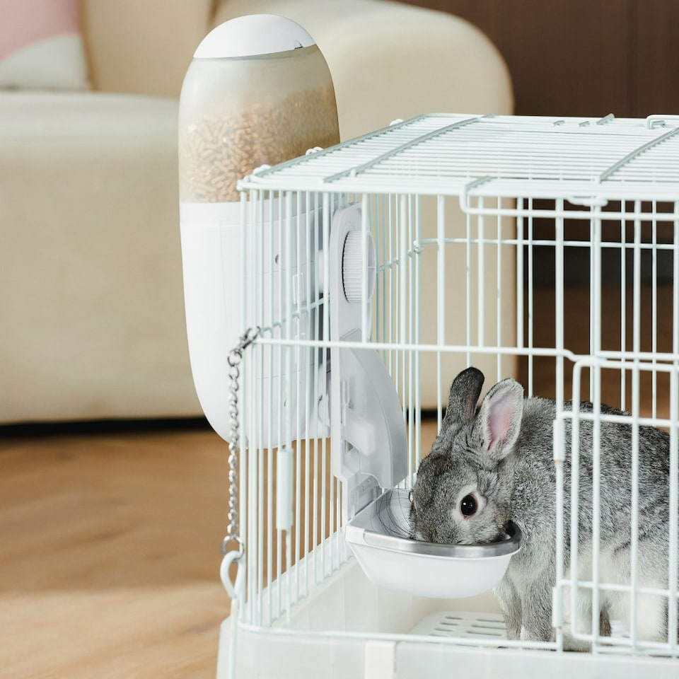 image 1 of Hoppy Smart Small animal feeder with Camera (APP Control) | White