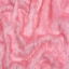 Blossom Pink