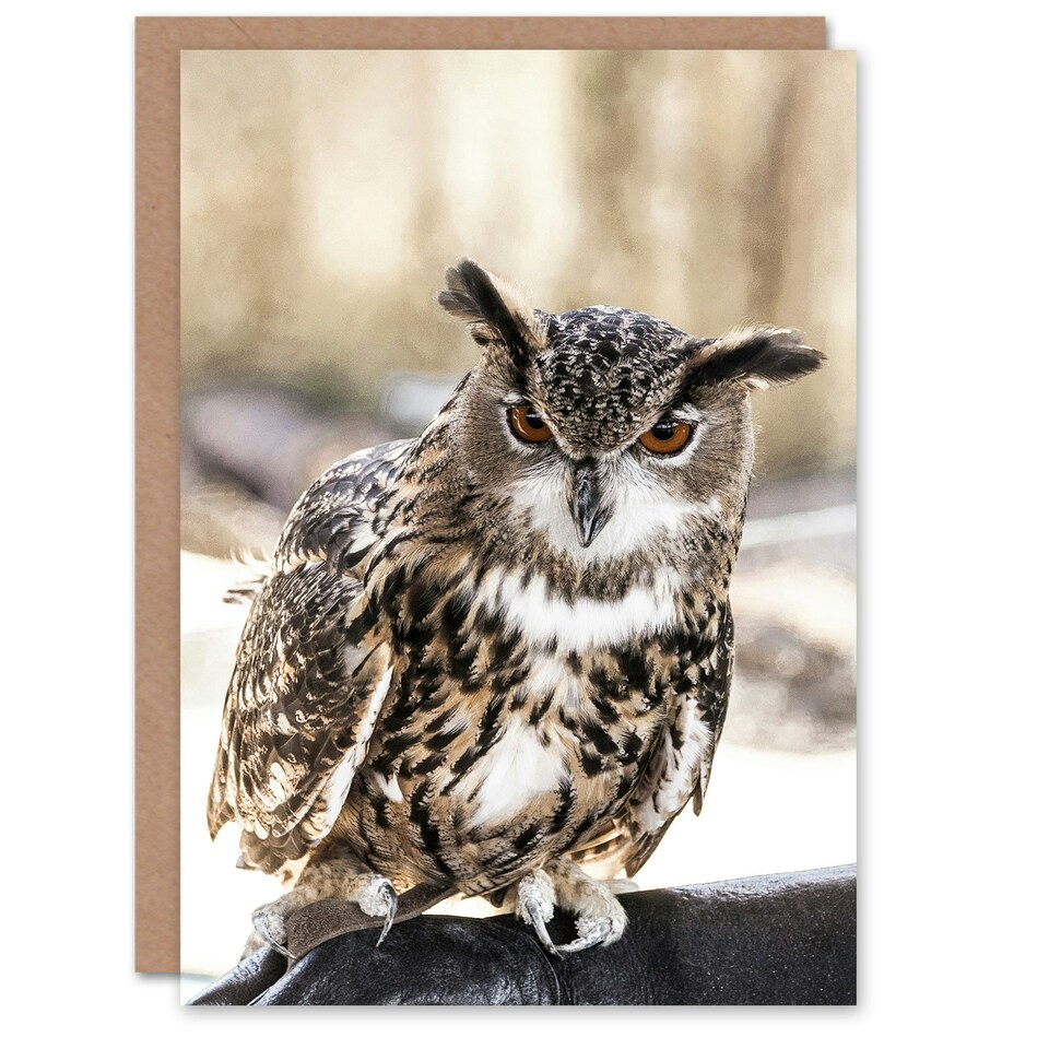 image 1 of Carol M Highsmith Art Card Long Eared Owl Perched On A Rock