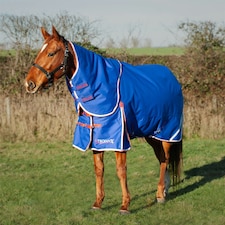 Gallop Equestrian Trojan Xtra 200 Dual Turnout Rug & Neck Set Blue | Size: 5ft 9
Colour: Royal Blue