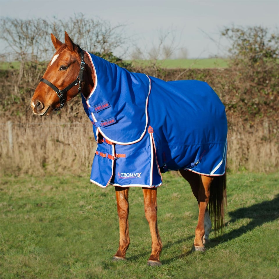 Gallop Equestrian Trojan Xtra 200 Dual Turnout Rug & Neck Set Blue | Size: 5ft 9
Colour: Royal Blue